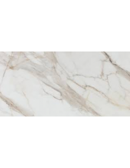 Rak Calacatta Gold cm 60x120 gres porcellanato levigato