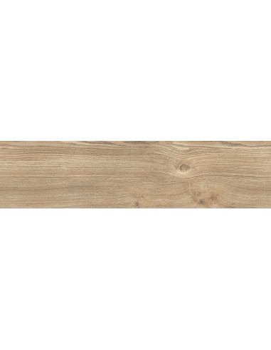 Gres  porcellanato effetto legno Fjord cm 20x120