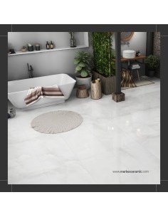 Onyx Amur Silver 2