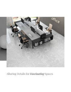 Onyx Amur Silver