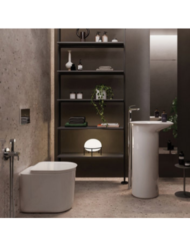 Rak Ceramics Valet vaso+bidet+copriwc...