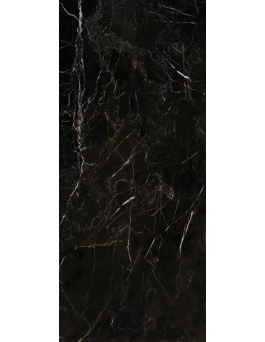 Gres porcellanato effetto marmo nero...