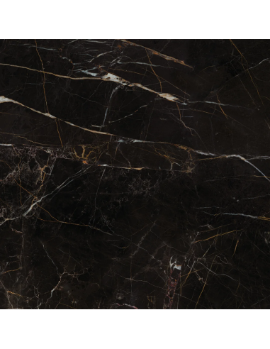 Gres porcellanato effetto marmo nero...