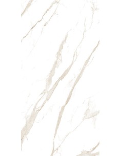 Gres porcellanato effetto marmo Venezia 60x120 2