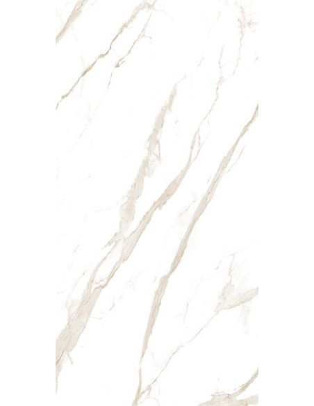 Gres porcellanato effetto marmo venato Venezia 60x120