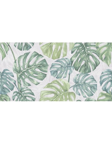 Rivestimento floreale window leaf 30x60