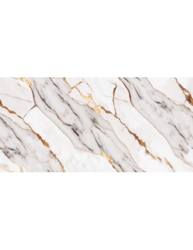 Gres porcellanato cm 60x120 Serie...