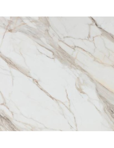 Calacatta gold 80x80 lucido Rak Ceramics