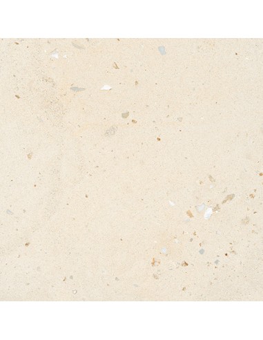 I Ciottoli gres porcellanato...