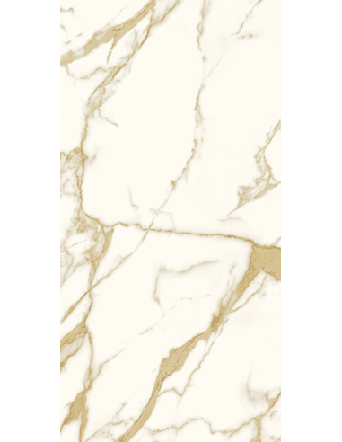 Elite gres porcellanato levigato...