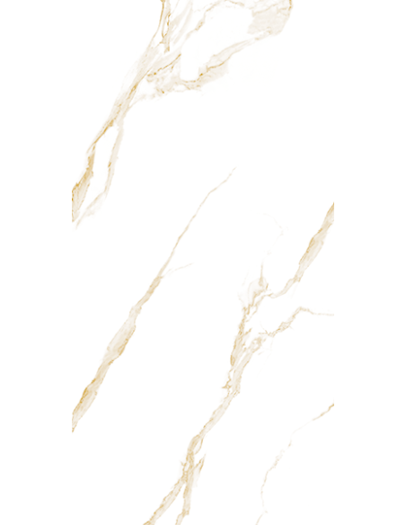 Elite gres porcellanato levigato effetto marmo 60x120