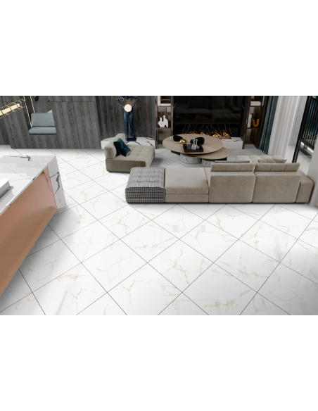 Aster gres porcellanato effetto marmo venato lucido 60x60