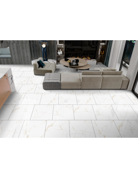 Aster gres porcellanato effetto marmo venato lucido 60x60