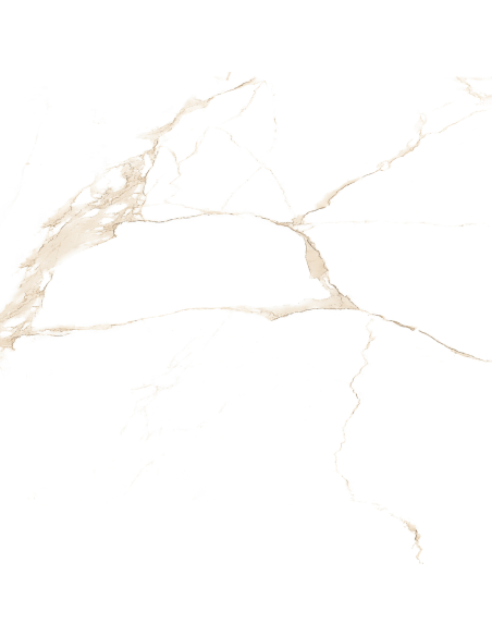 Aster gres porcellanato effetto marmo venato lucido 60x60