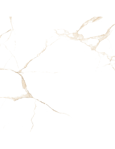 Aster gres porcellanato effetto marmo...