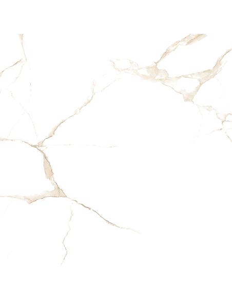 Aster gres porcellanato effetto marmo venato lucido 60x60