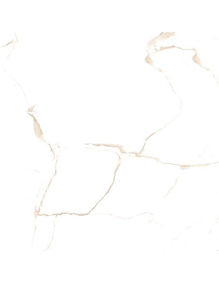 Aster gres porcellanato effetto marmo venato lucido 60x60