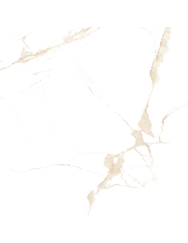 Aster gres porcellanato effetto marmo...