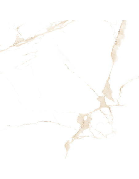 Aster gres porcellanato effetto marmo venato lucido 60x60