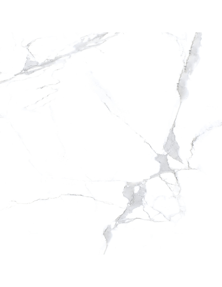 Aster gres porcellanato effetto marmo venato lucido 60x60