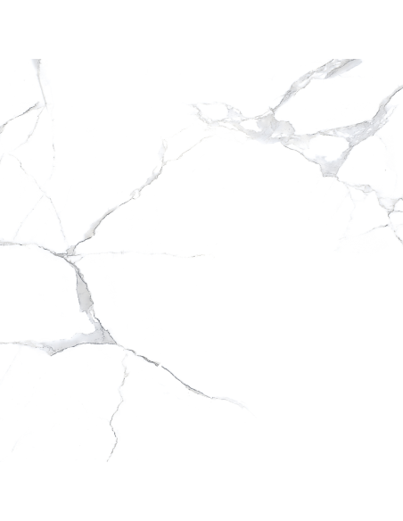 Aster gres porcellanato effetto marmo venato lucido 60x60