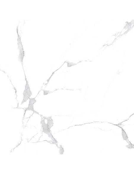 Aster gres porcellanato effetto marmo venato lucido 60x60