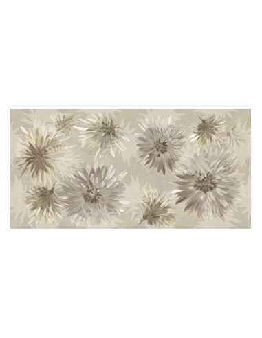 Gres Porcellanato 60x120 Retina...