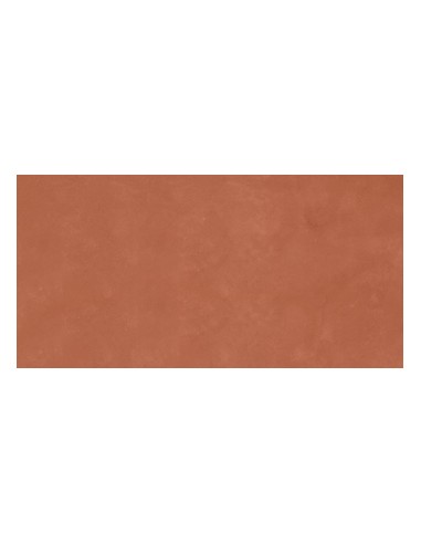 Gres Porcellanato 60x120 Retina...