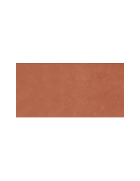 Gres Porcellanato 60x120 Retina Effetto Resina con decori