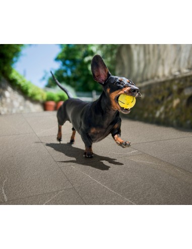 Trail 18 Gres Porcellanato Spessorato...