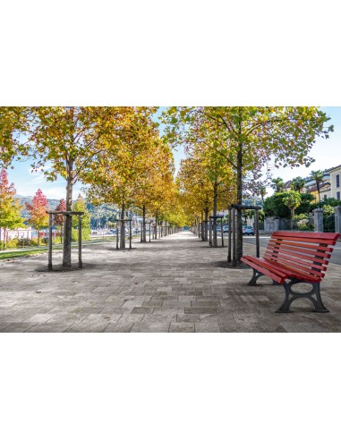 Trail 18 Gres Porcellanato Spessorato...