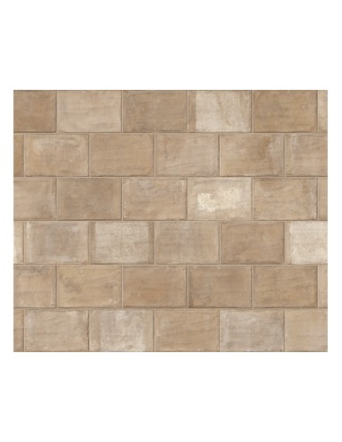 Trail 18 Gres Porcellanato Spessorato...