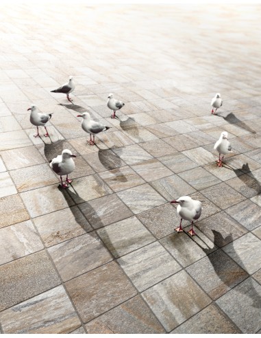 Trail 18 Gres Porcellanato Spessorato...